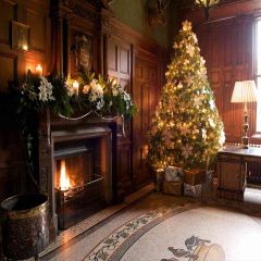 Cozy Fireplace Photography Scenery Backdrop Christmas Theme Banner EHY-043