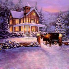 Outdoor XMAS Tree Photography Scenery Backdrop Christmas Theme Banner EHY-059