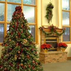 Indoor Xmas Tree Photography Scenery Backdrop Christmas Theme Banner EHY-065