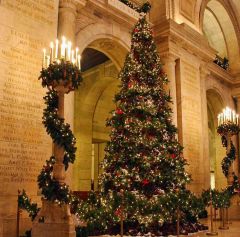 Nice Xmas Tree Photography Scenery Backdrop Christmas Theme Banner EHY-066