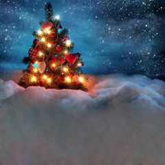 XMAS Snow Scene Photography Scenery Backdrop Christmas Theme Banner EHY-075