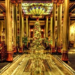 Auditorium Xmas Tree Photography Scenery Backdrop Christmas Theme Banner EHY-084