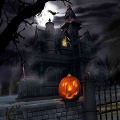 Halloween Atmosphere Photography Scenery Backdrop Halloween Theme Banner EHY-086