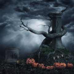 Horrible Trees Photography Scenery Backdrop Halloween Theme Banner EHY-100
