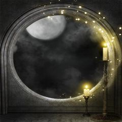 Dark Moon Photography Scenery Backdrop Halloween Theme Banner EHY-102