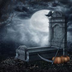 Coffin Plank Photography Scenery Backdrop Halloween Theme Banner EHY-103
