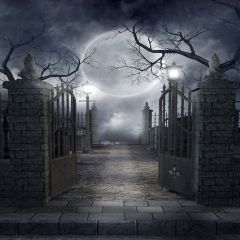 Mysterious Moonlight Photography Scenery Backdrop Halloween Theme Banner EHY-106