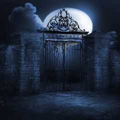 Cold Door Photography Scenery Backdrop Halloween Theme Banner EHY-107