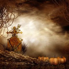 Skeleton Photography Scenery Backdrop Halloween Theme Banner EHY-108