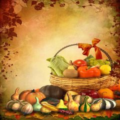 Pumpkin Party Photography Scenery Backdrop Halloween Theme Banner EHY-113