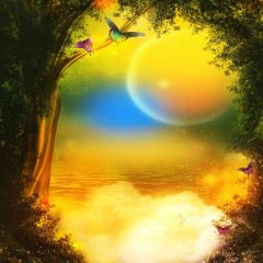 Butterfly Echoes Photography Scenery Backdrop Forest Theme Banner EHY-114