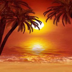 The Sunset Beach Photography Scenery Backdrop Ocean Theme Banner EHY-115