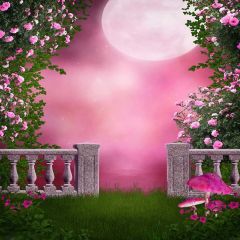 Courtyard Flowers Photography Scenery Backdrop Flowers Theme Banner EHY-120