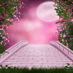 Pink Date Photography Scenery Backdrop Architectural Theme Banner EHY-122