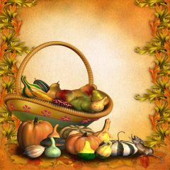 Pumpkin Brothers Photography Scenery Backdrop Halloween Theme Banner EHY-127