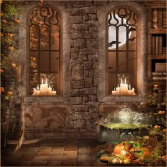 Pumpkin Beside Window Photography Scenery Backdrop Halloween Theme Banner EHY-130