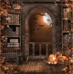 Alone Cat Photography Scenery Backdrop Halloween Theme Banner EHY-133