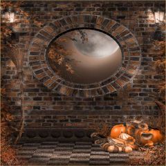 Cold Stone Photography Scenery Backdrop Halloween Theme Banner EHY-134