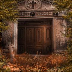 Immemorial Door Photography Scenery Backdrop Door Theme Banner EHY-136