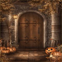 Knock At Door Photography Scenery Backdrop Halloween Theme Banner EHY-138
