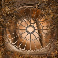 Weird Window Photography Scenery Backdrop Architectural Theme Banner EHY-139