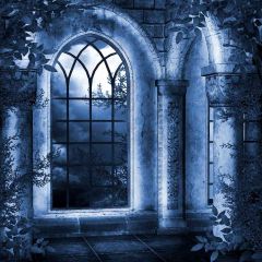 Loneliness Solitude Photography Scenery Backdrop Night Theme Banner EHY-141