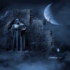 Mysterious One Photography Scenery Backdrop Night Theme Banner EHY-144