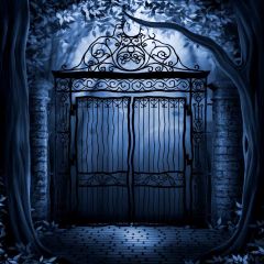 Silence Door Photography Scenery Backdrop Night Theme Banner EHY-147