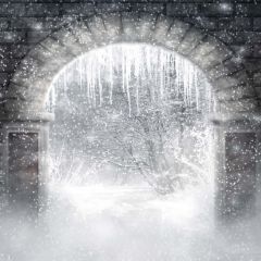 Snow And Ice Cover Photography Scenery Backdrop Arches or Pillars Theme Banner EHY-162