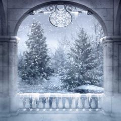 Swirling Snow Photography Scenery Backdrop Balcony Landscape Theme Banner EHY-168