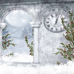 Icicle Door Photography Scenery Backdrop Door Theme Banner EHY-172