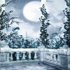 Snow Under Sunlight Photography Scenery Backdrop Balcony Landscape Theme Banner EHY-173