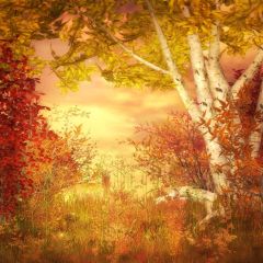 Autumn Leaves Photography Scenery Backdrop Autumn Theme Banner EHY-175