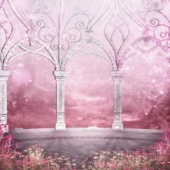 Light Pink Photography Scenery Backdrop Architectural Theme Banner EHY-178