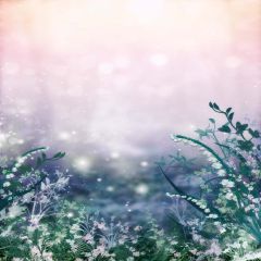 Potpourri Photography Scenery Backdrop Nature Theme Banner EHY-180