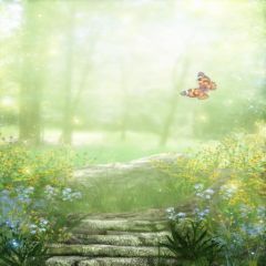 Stunning Scenery Photography Scenery Backdrop Nature Theme Banner EHY-181