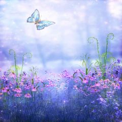 Butterfly Fly Photography Scenery Backdrop Nature Theme Banner EHY-182