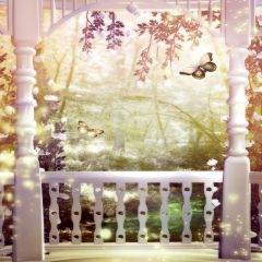 Dreamy Scenery Photography Scenery Backdrop Balcony Landscape Theme Banner EHY-183