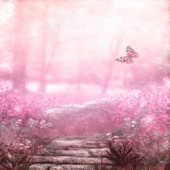 Fantastic Scenery Photography Scenery Backdrop Fantasy Theme Banner EHY-185