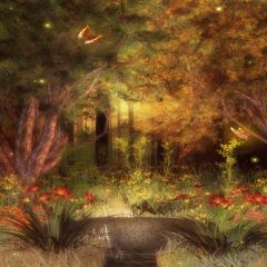 Beautiful Woods Photography Scenery Backdrop Nature Theme Banner EHY-187