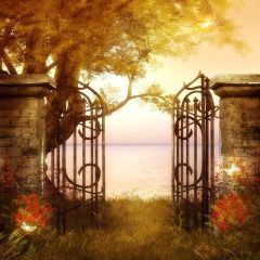 Autumn Sense Photography Scenery Backdrop Autumn Theme Banner EHY-191