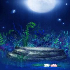 Night Lights Photography Scenery Backdrop Night Theme Banner EHY-193