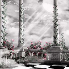 The Cloud Of The Column Photography Scenery Backdrop Arches or Pillars Theme Banner EHY-197