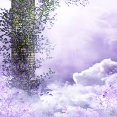 Cloud And Mist Photography Scenery Backdrop Flowers Theme Banner EHY-199