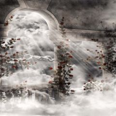 Fairyland Photography Scenery Backdrop Arches or Pillars Theme Banner EHY-205