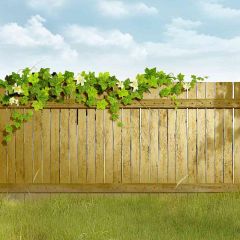 Fresh Fence Photography Scenery Backdrop Garden Scenery Theme Banner EHY-306