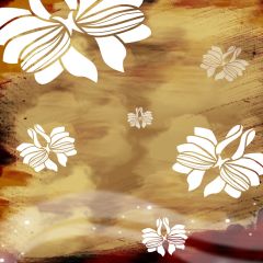 Strange Lines Photography Scenery Backdrop Abstract Art Theme Banner EHY-316