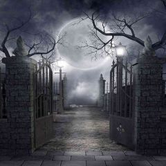 Mystery Night Photography Scenery Backdrop Halloween Theme Banner EHY-365
