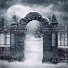 Lowest Temperature Photography Scenery Backdrop Arches or Pillars Theme Banner EHY-369