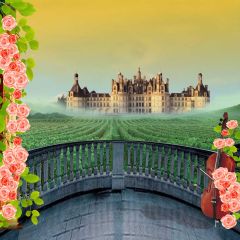 Distant Castle Photography Scenery Backdrop Balcony Landscape Theme Banner EHY-377